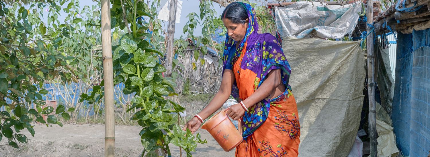 Woman farmer in Bangladesh watering her vegetable garden.