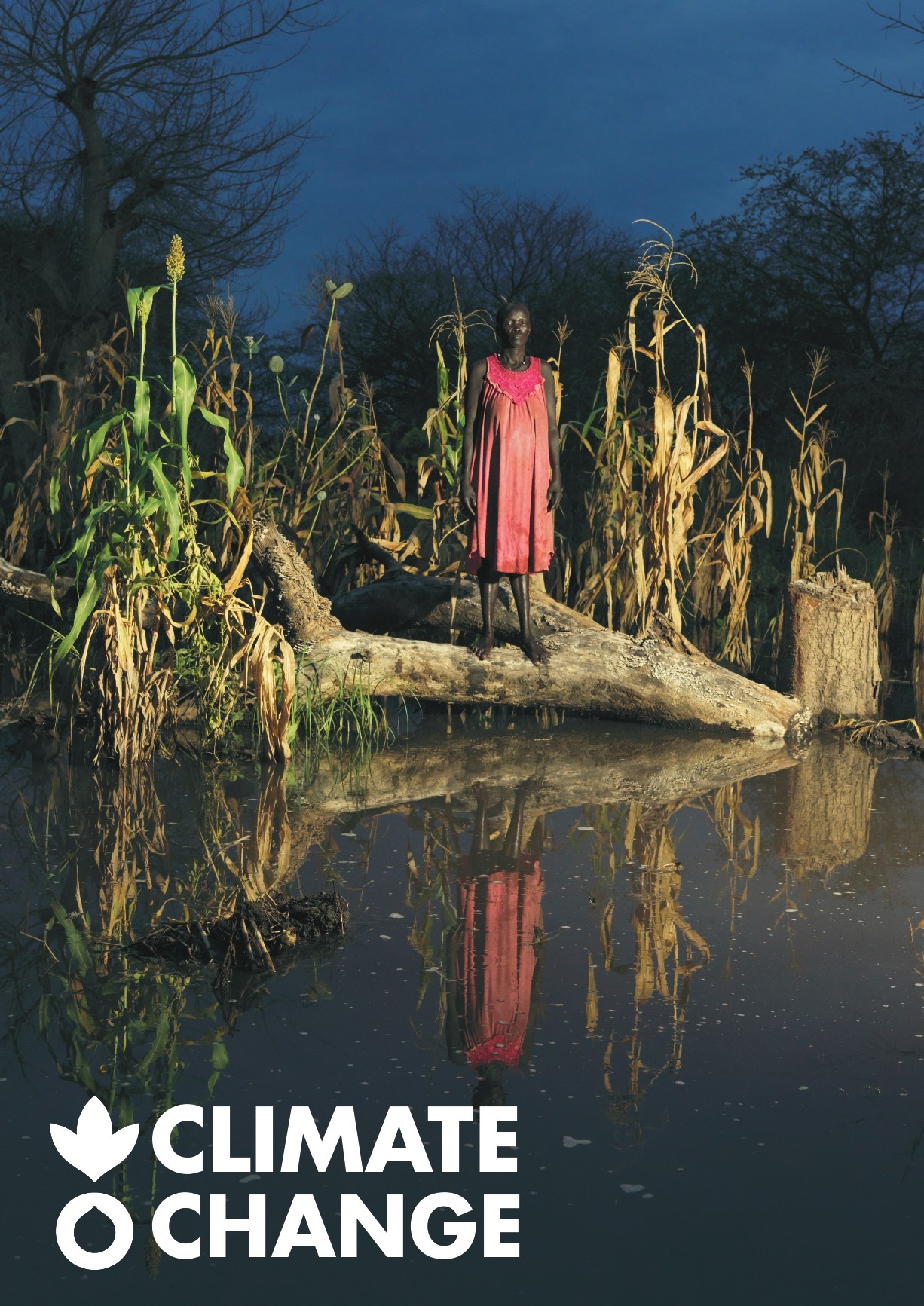 Climate Change proposition paper - woman standing on fallen tree in flooded surroundings.