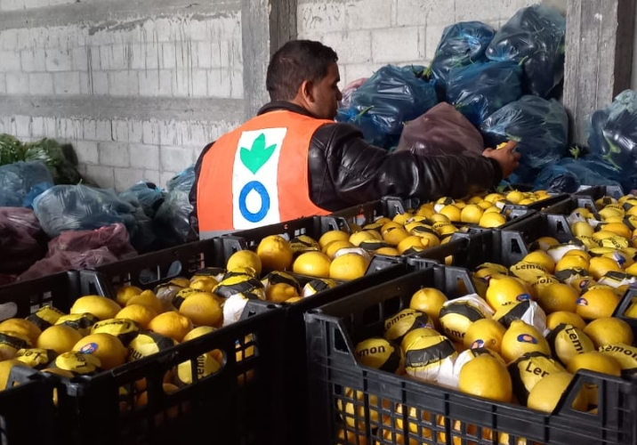 Action Against Hunger aid worker sorting through fresh food baskets.