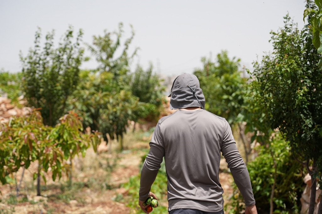 A shot of Khaled (not his real name) walking through his farmland in the West Bank. His face is hidden to protect his identity.