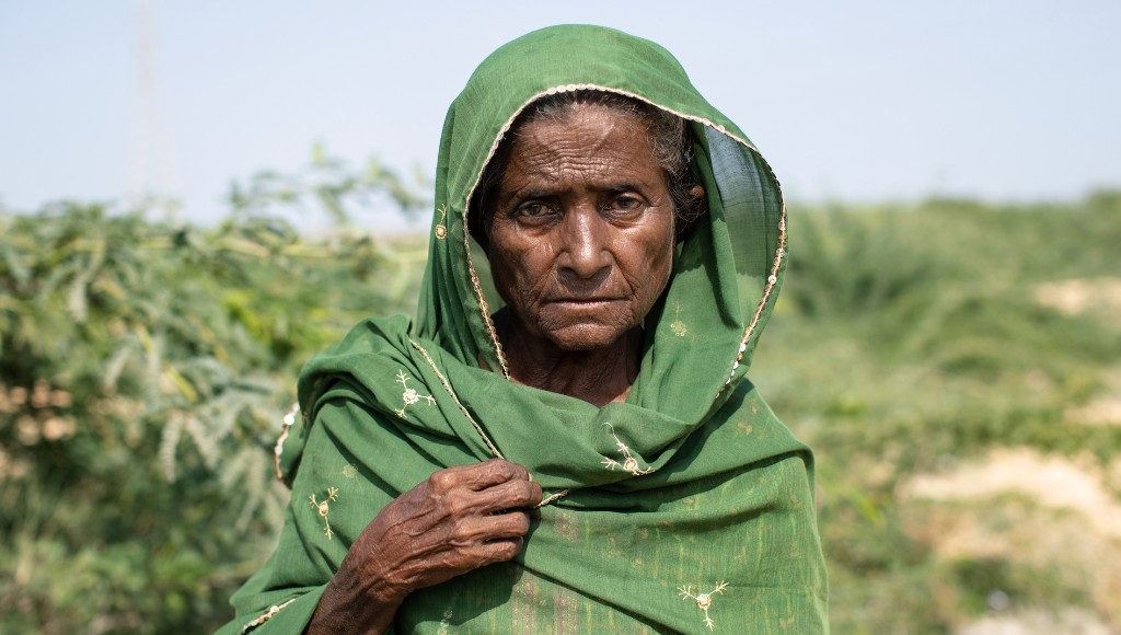Women in green embroidered Sari in rural Pakistan.