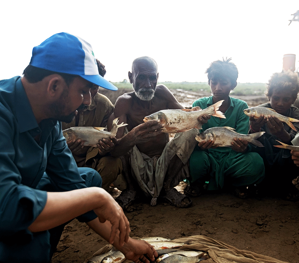 Abdul Malik is a Technical Officer at an Action Against Hunger supported Fish Farm in Pakistan